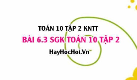 Bài 6.3 SGK Toán 10 tập 2 Kết nối tri thức